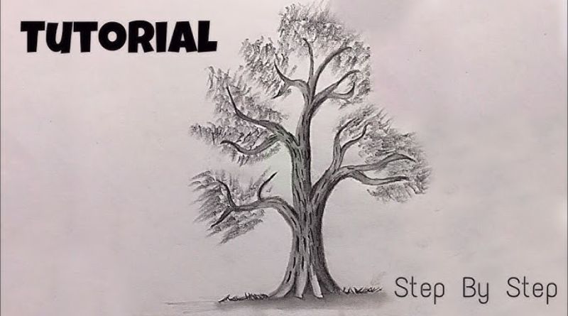 Drawing: 3ouaizhet6g= Tree: A Step-by-Step Guide to Mastering Tree Drawings